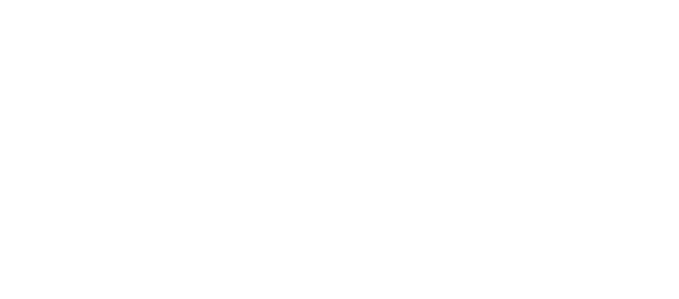 PC Professional